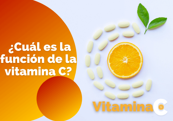función de la vitamina C